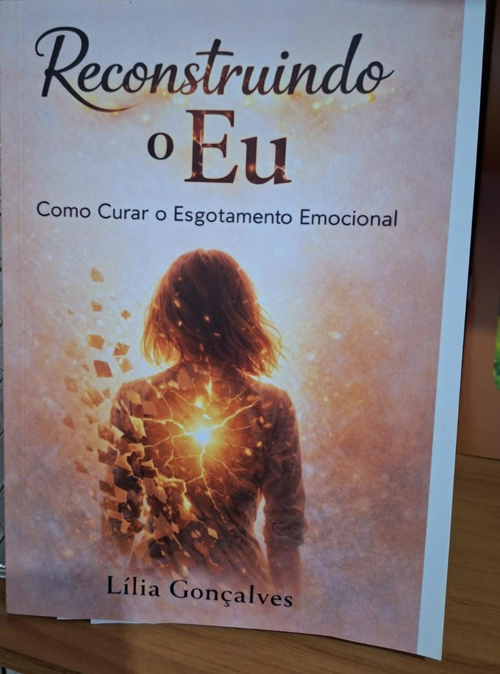 Capa oficial da obra Reconstruindo o Eu